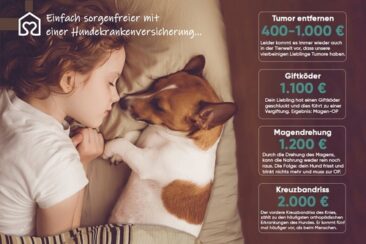 Tiervermittlung mit Herz – Die Plattform von Tierheimat für Tierfreunde