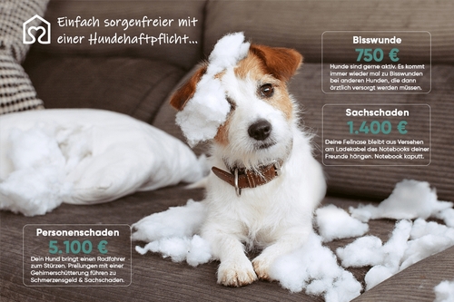 Tierversicherung von Tierheimat – Finanzielle Sicherheit für Haustiere