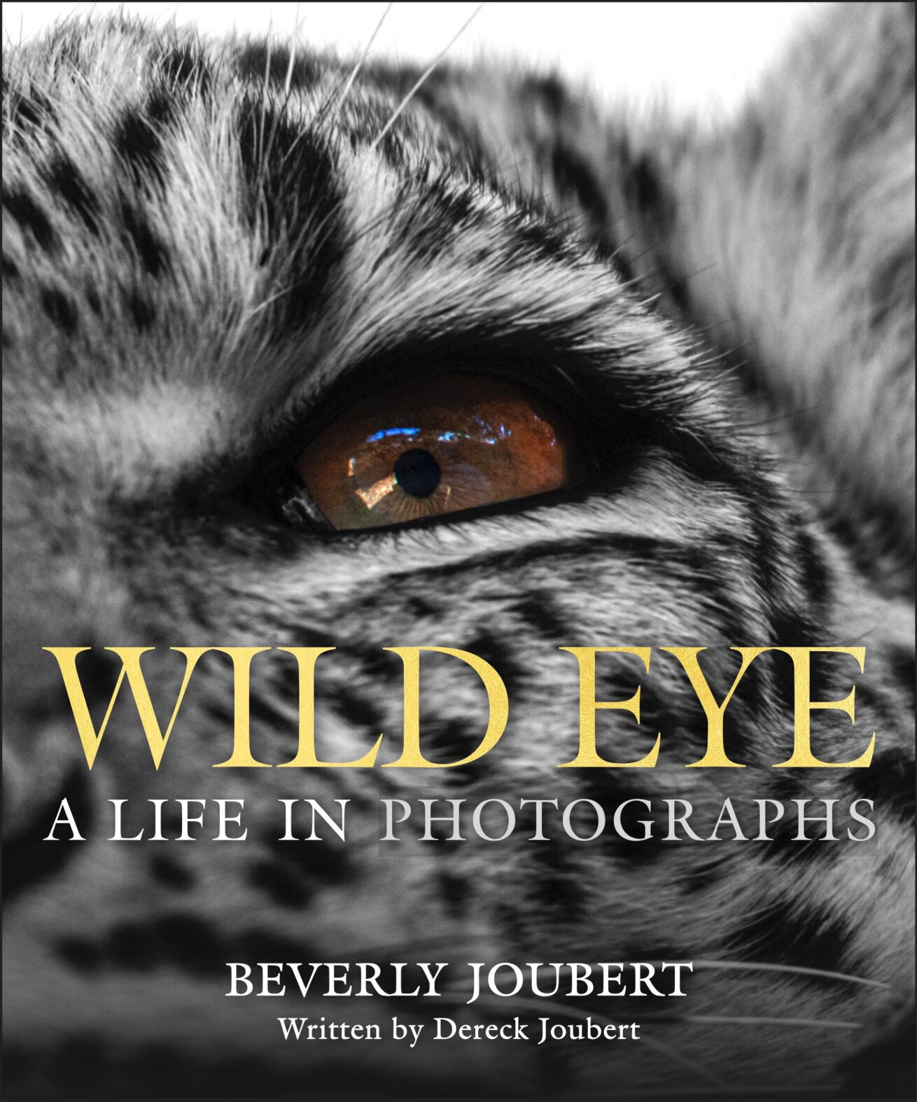 ‘Wild Eye: A Life in Photographs’