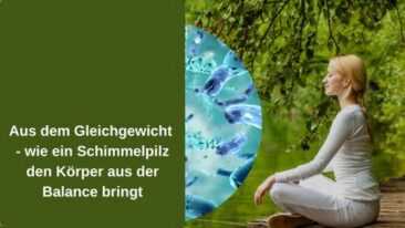 Aus dem Gleichgewicht – wie ein Schimmelpilz den Körper aus der Balance bringt