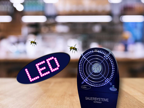 Die innovative UV-LED-Wespenfalle