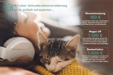 Geprüfte Züchter finden mit Tierheimat – Vertrauen in die Tiervermittlung