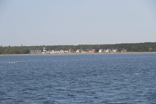 Idyllisches Ferienhaus auf dem Deich wartet