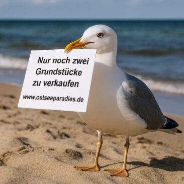 Letzte Baugrundstücke Chance am Meer Insel Rügen
