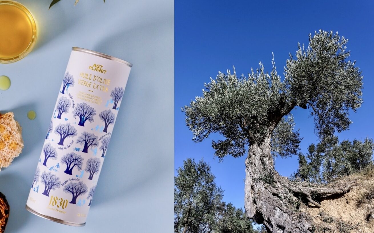 Maison Brémond 1830 rettet Olivenbäume und bringt exklusives Olivenöl aus Spanien nach Deutschland
