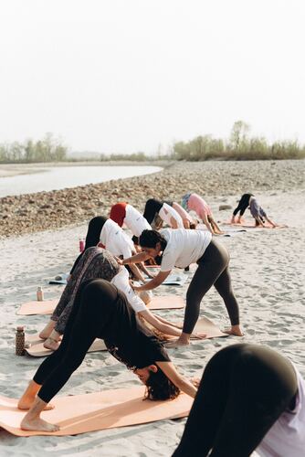 Yoga Teacher Training und Neuroplastizität