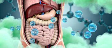 Ammonium und Ammoniak – lange unterschätzte Gefahr für Gehirn und Gesundheit