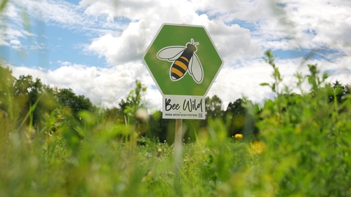 ARCOTEL Hotels & BeeWild: Gemeinsam für den Bienenschutz