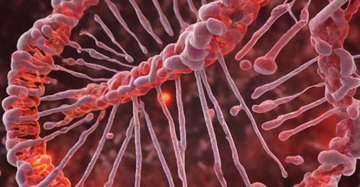 Kombinationstherapien gegen die fünf gefährlichsten Krebserkrankungen – Hoffnung auf nachhaltigen Erfolg