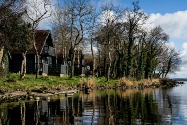 Mit Hund und Herz: Irland-Urlaub mit Wau-Faktor