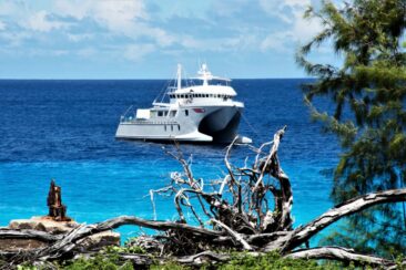 Kreuzfahrt: Neue Expedition zum Aldabra-Atoll für nur sechs Gäste