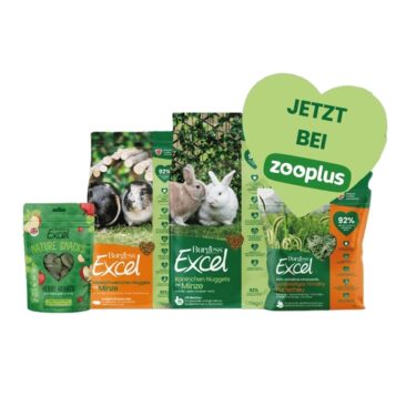 Über den Ärmelkanal: Burgess Pet Care plant seine Meerschweinchen-Aktionswoche nach Deutschland zu holen