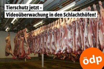 Unterstützung zur Abschaffung von Tierleid gesucht