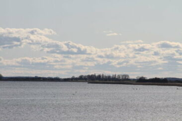 Urlaub mit Hunden am Meer  im Deichhaus St Barbara