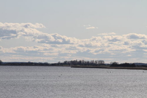 Urlaub mit Hunden am Meer  im Deichhaus St Barbara
