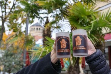 Wintereinbruch unter Palmen