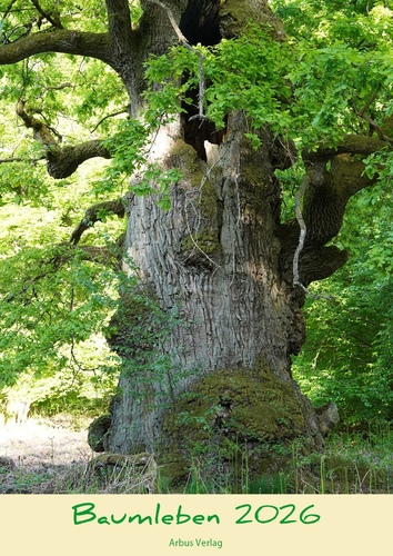 Baumkalender 2026: „Baumleben 2026“ – Einzigartige Hommage an sagenhafte, alte Bäume Deutschlands