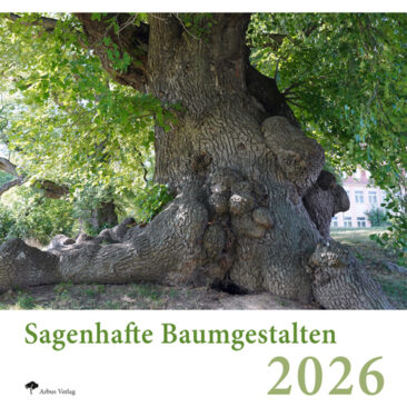 Baumkalender 2026: Einzigartige, sagenhafte Bäume