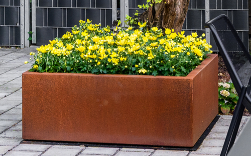 Cortenstahl Pflanzkübel – die Alleskönner im Garten