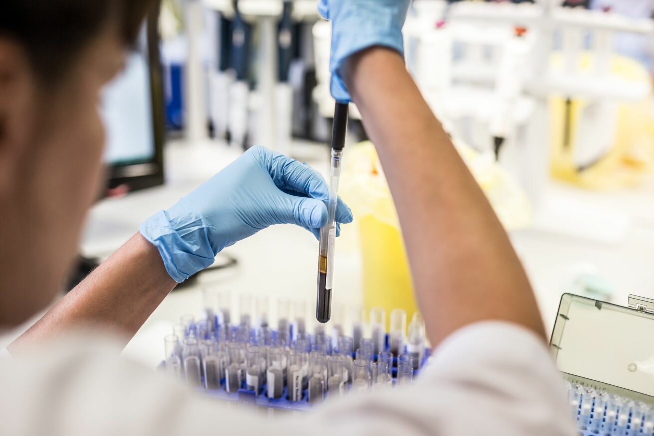 Digitale Vernetzung, menschliche Stärke: Estland verbindet Forschung, Praxis und Politik