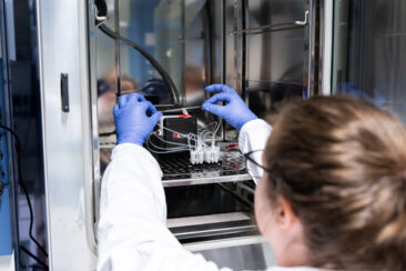 Dynamic42: Neues TME-Kit für bessere Labor-Krebsmodelle