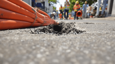 Kanalsanierung Hamburg und Wurzeleinwuchs: Ursachen, Prävention, Lösungen