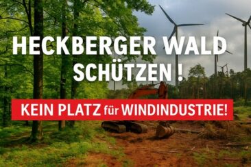 Petition zum Schutz des Heckberger Waldes gestartet