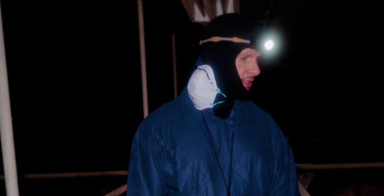 Ungewöhnliche Aktion: ANINOVA nimmt Fleischesser mit in eine Schweinemast – das Video geht viral