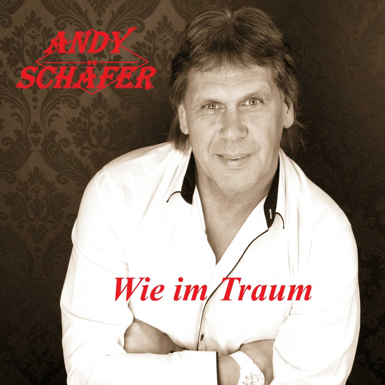 Wie im Traum 2025 – Die Neuaufnahme des alten Hits von Andy Schäfer