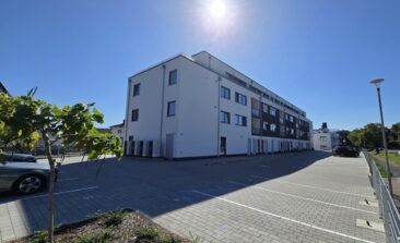 Die Erfahrungen der Protectum eG im Geschäftsjahr 2025