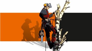 Die unsichtbare Gefahr nach dem Sturm: Warum Baumpflege im Winter aktiver Bodenschutz ist