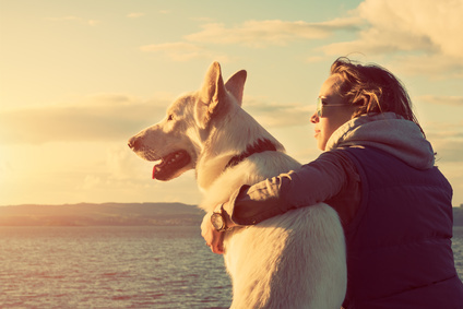 Ferienhaus am Meer buchen auch mit mehreren Hunden