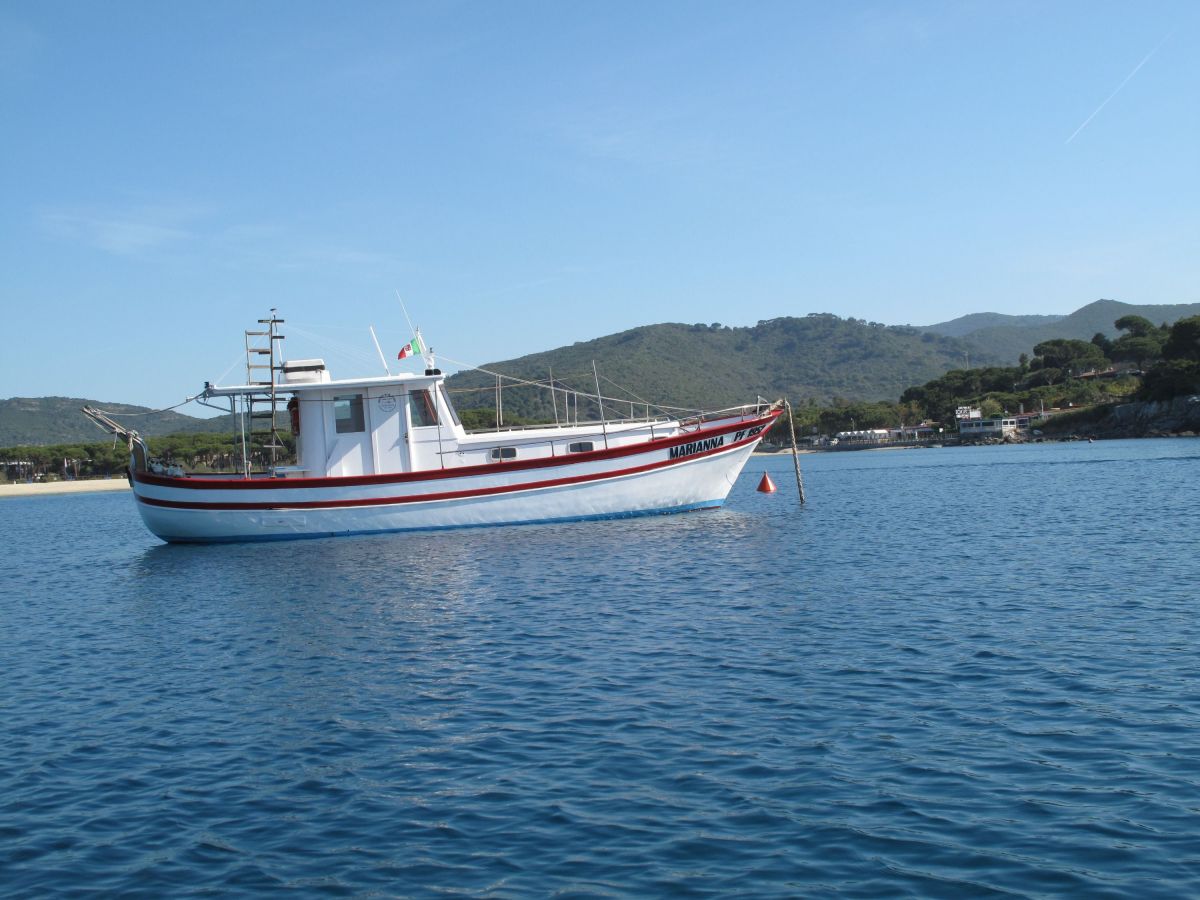 Insel Elba Tauchen, Exlusiver Tauchgang mit Spiro Sub Diving auf Elba, Italien