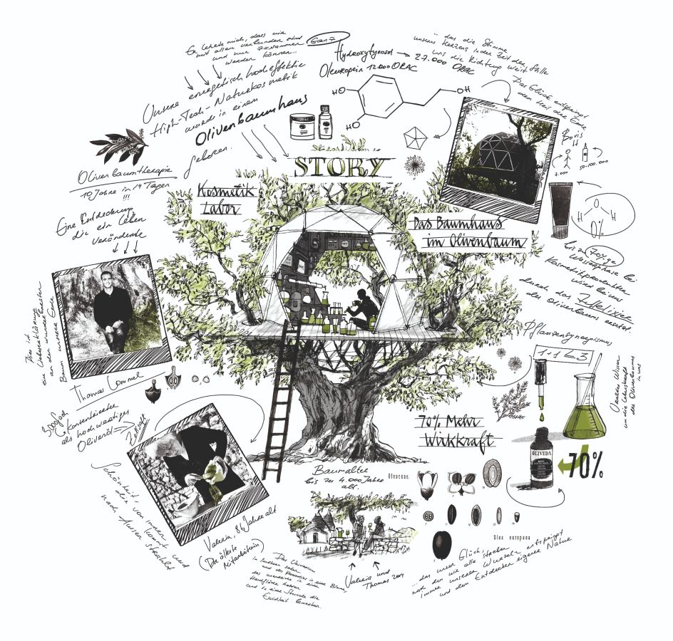 OLIVEDA International und OLIVE TREE PEOPLE starten globale Expansion