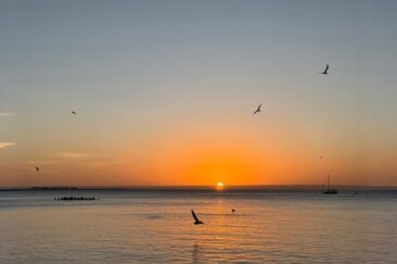 Projekt „Weihnachten“: Warum Gelassenheit das beste Geschenk ist