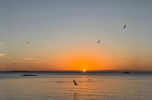 Projekt „Weihnachten“: Warum Gelassenheit das beste Geschenk ist