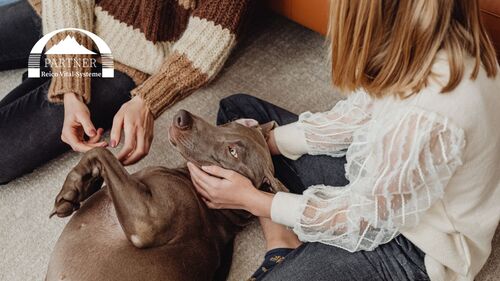 Reico Vital Systeme – was es mit dem Hundefutter auf sich hat