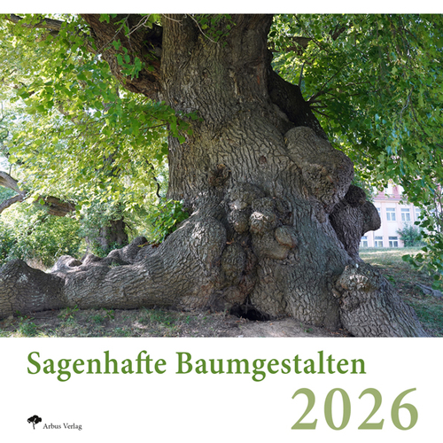 Weihnachten – Geschenkeflut: Sagenhafte Baumgestalten 2026 statt Socken, Putzzeug, Kitsch?