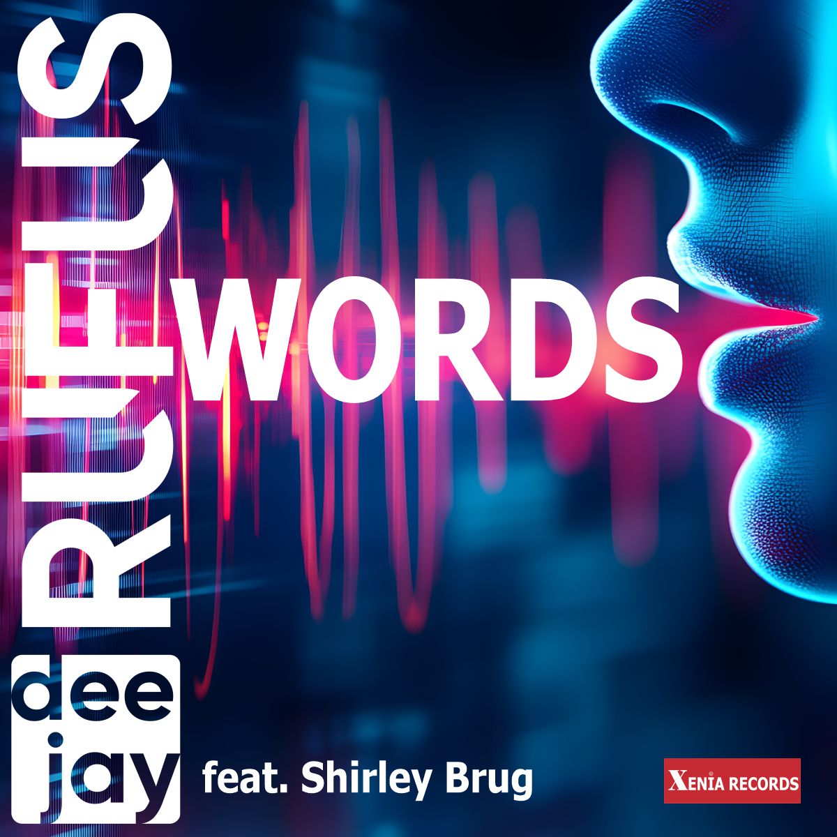 WORDS – der neue Sound von dee jay RUFUS feat. Shirley Brug