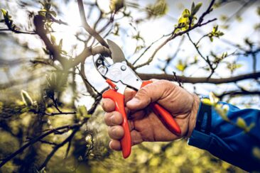Gartenscheren für präzise Schnitte auch bei weichem Schnittgut: GardenPRO Amboss-Scheren von Original LÖWE