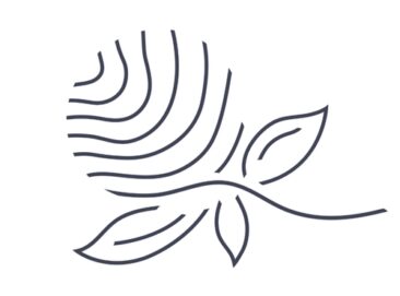 Individual Beauty – Individuelle High-End-Behandlungen in Wien