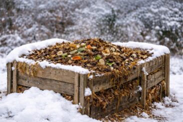 Kompost im Winter aktiv halten – praktische Tricks von Norbert Seeger