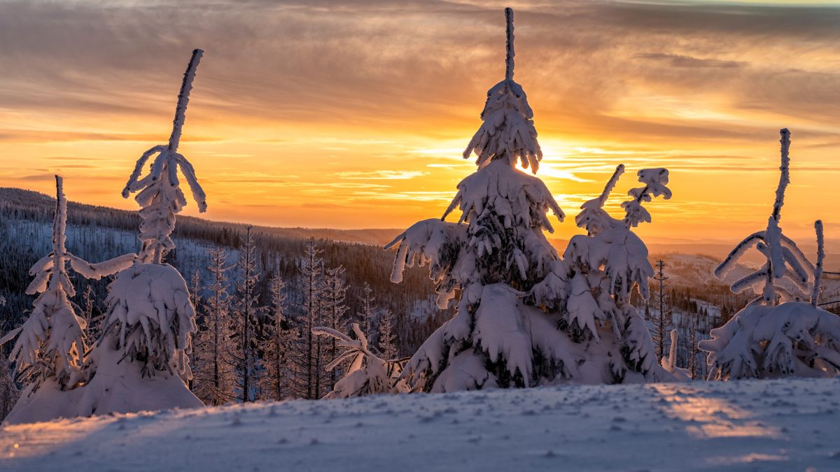 Landschaftsfotografie lernen im Rhythmus der Jahreszeiten