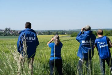 Natur verstehen und vermitteln:  NABU Umweltwerkstatt startet Ausbildung zum Naturführer 2026