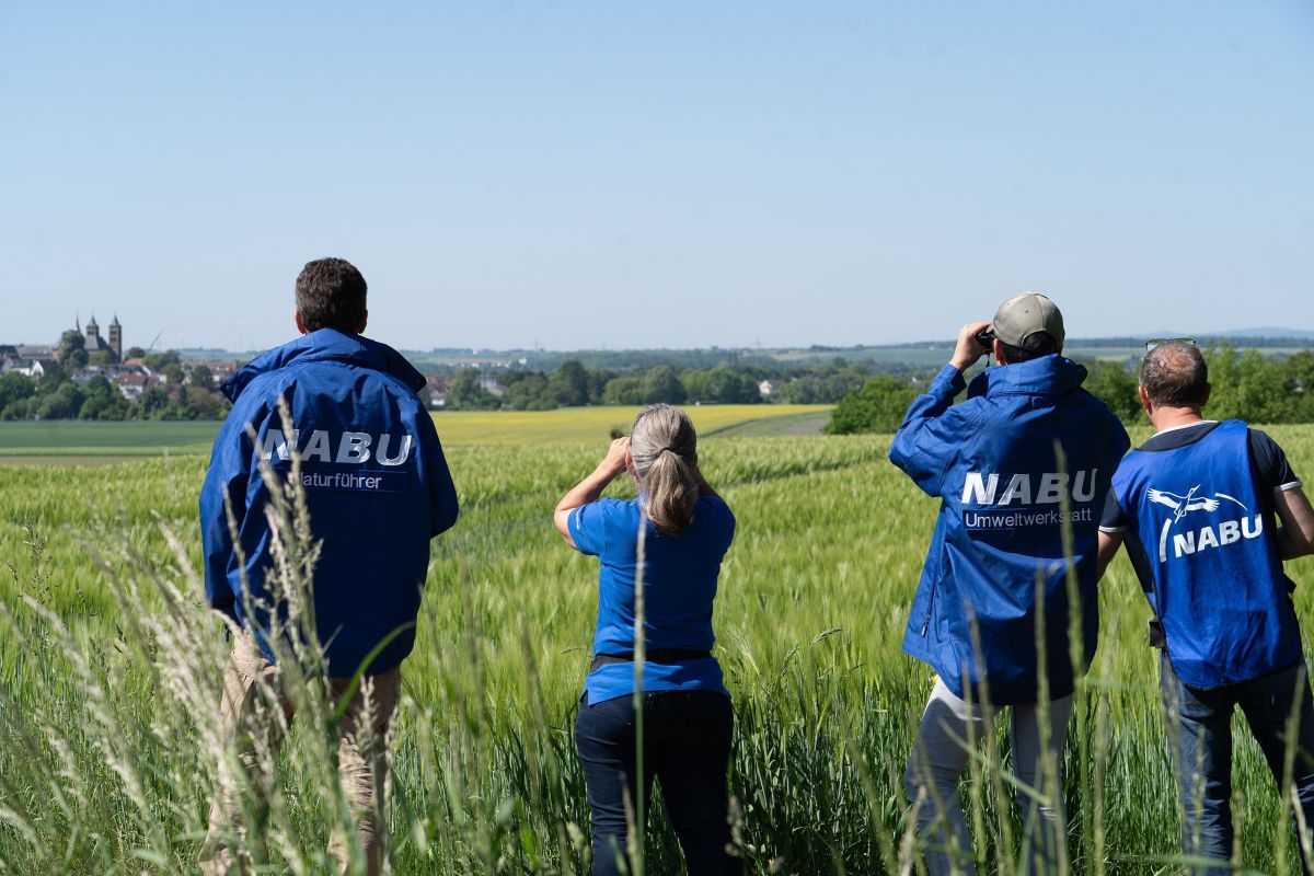 Natur verstehen und vermitteln:  NABU Umweltwerkstatt startet Ausbildung zum Naturführer 2026