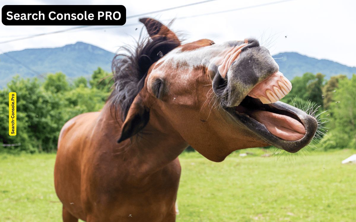 Neues SEO Tool – Search-Console.Pro aus Deutschland