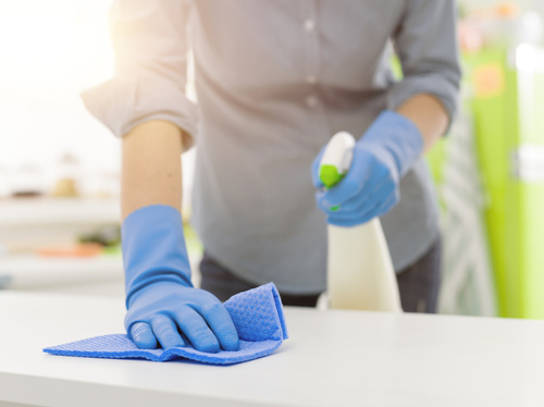 Pack4Food24: Ihr Partner für professionelle Hygienelösungen
