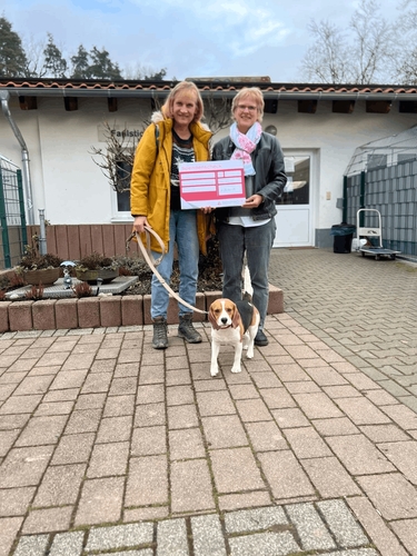 SENPRO IT setzt Zeichen für den Tierschutz: