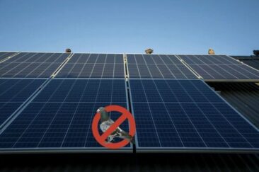 Taubenabwehr für die Photovoltaik: der Experten Ratgeber
