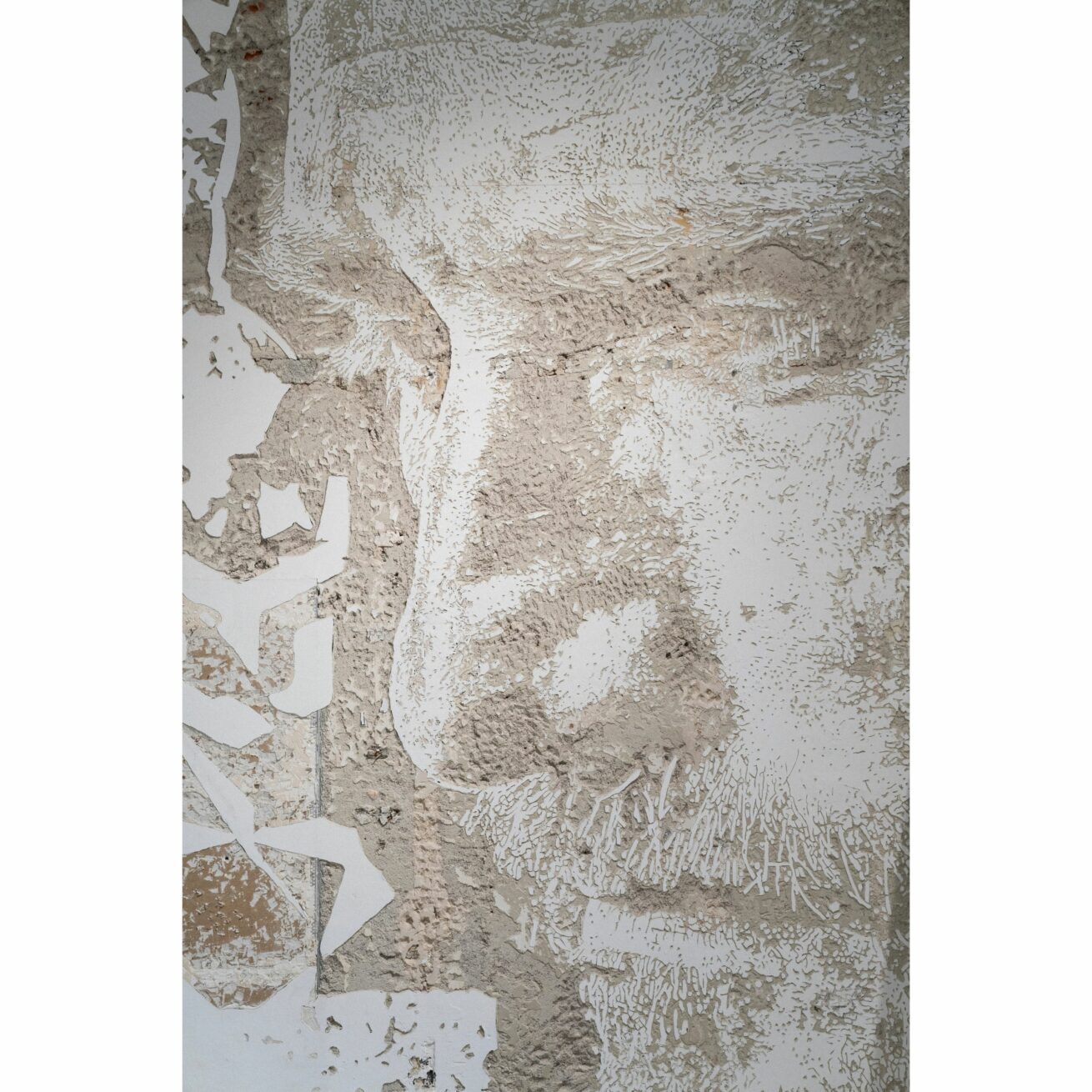 Verlängerung der VHILS Ausstellung „Strata“ im Museum of Urban and Contemporary Art (MUCA) in München